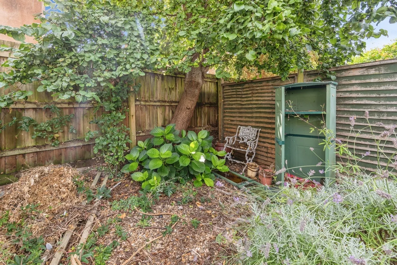 Alma Street, Taunton, TA1, photo 18