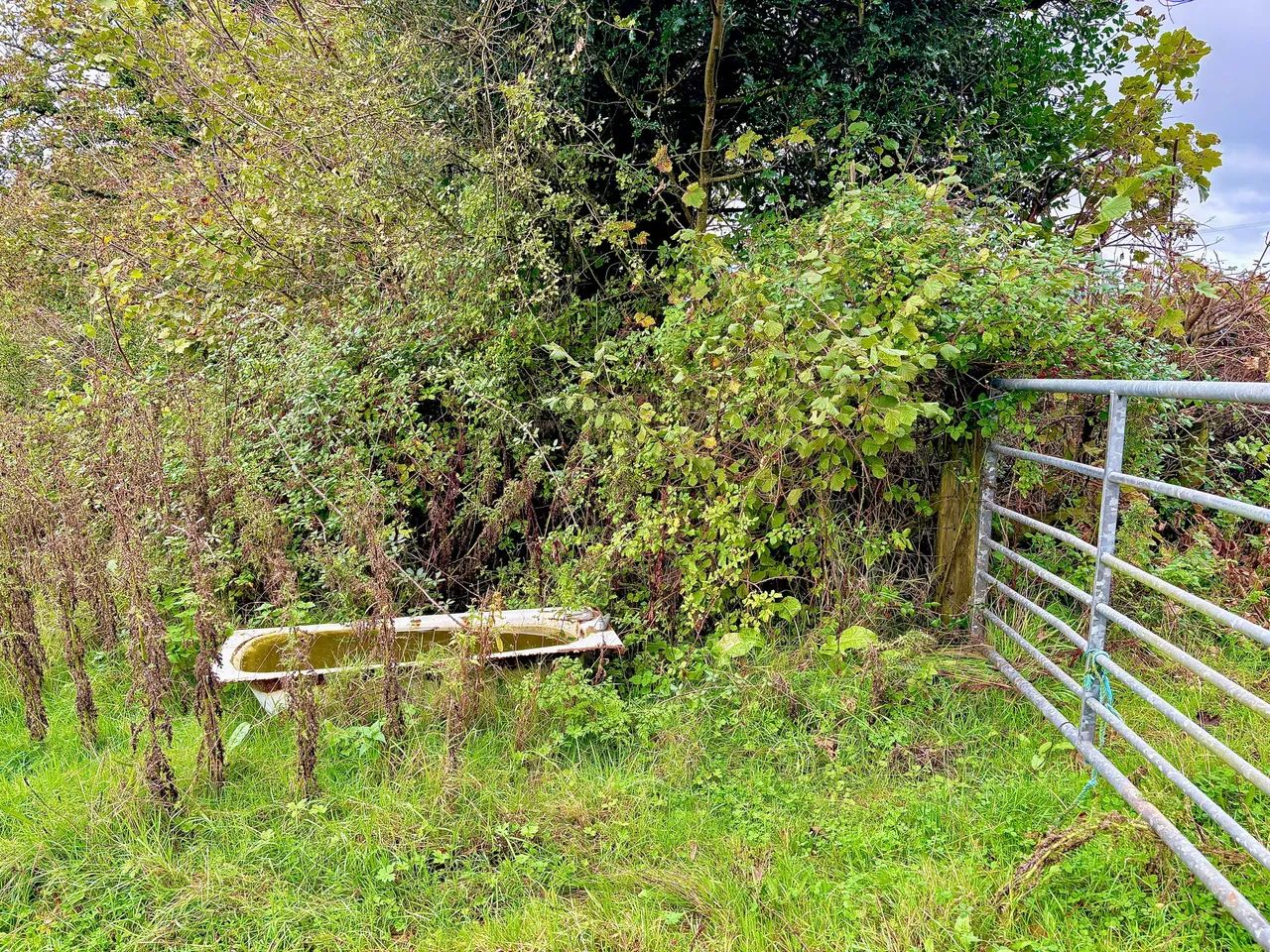 Llanarthney, Carmarthen, SA32, photo 6