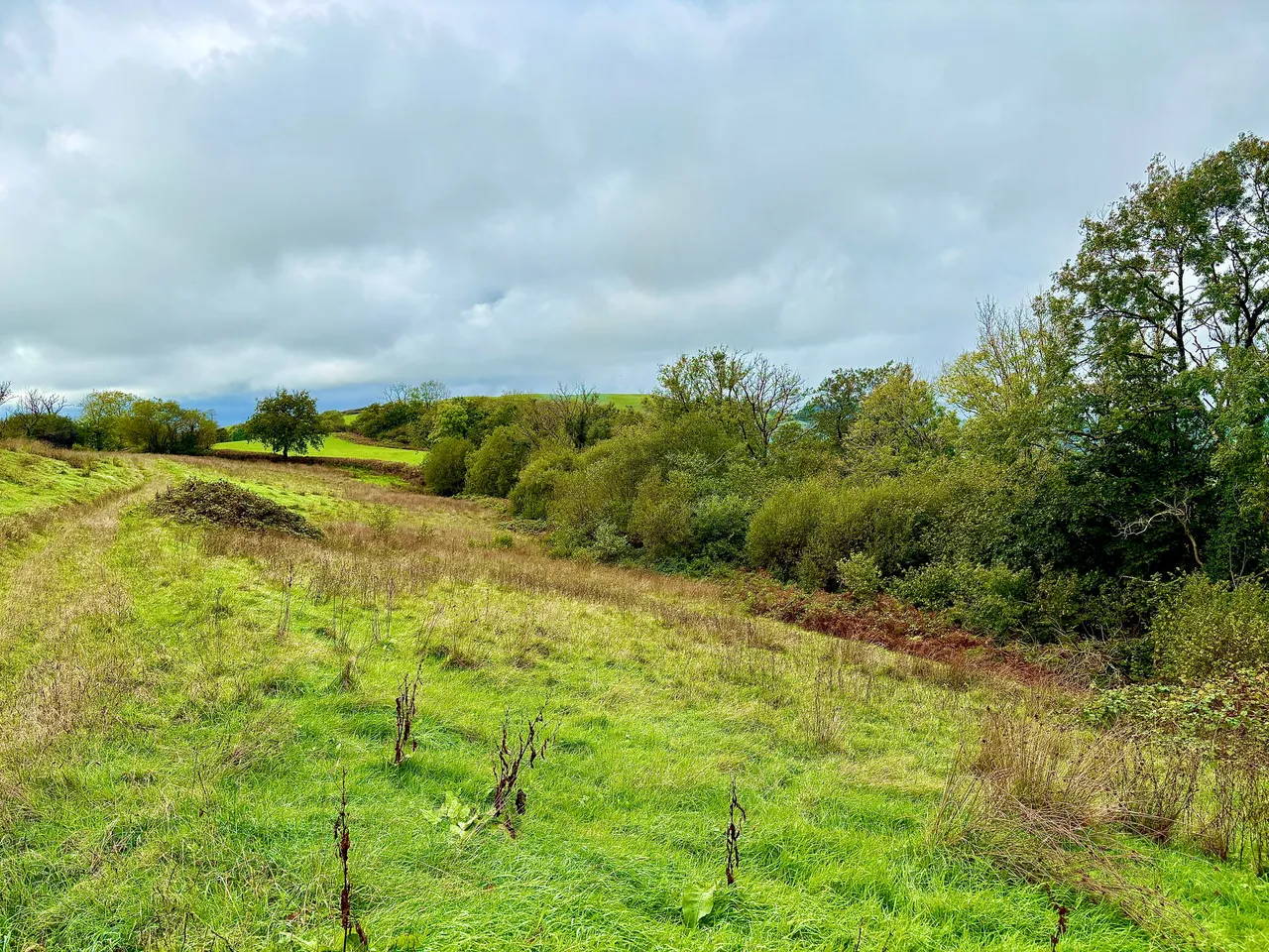 Llanarthney, Carmarthen, SA32, photo 4
