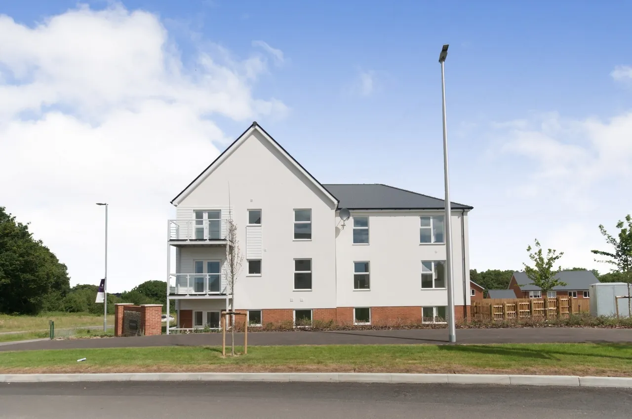 Osprey Drive, Bexhill-on-Sea, TN40, photo 14