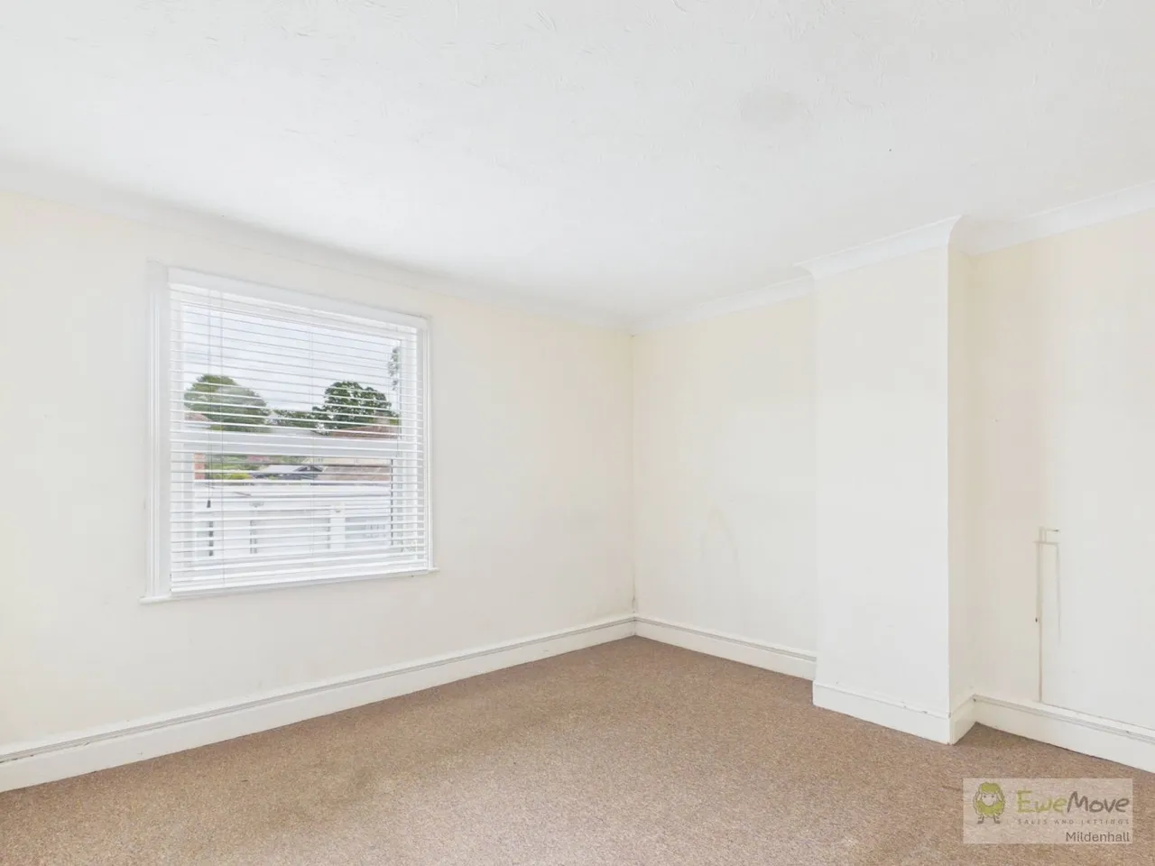 High Street, Lakenheath, IP27, photo 15