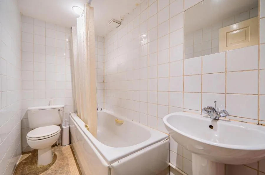 Waterloo Street, Hove, BN3, photo 10