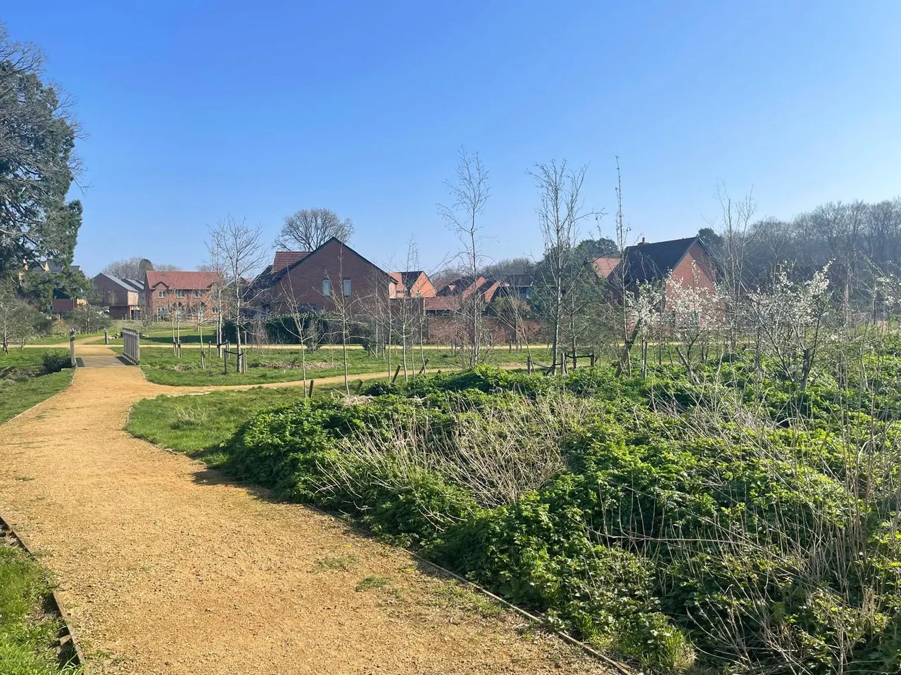 Brunswick Road, Deepcut, Camberley, Surrey, GU16 6FE, photo 7