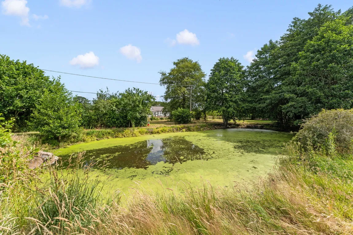 Hall Lane, Radmore Green, Tarporley, CW6 9Rj, photo 66