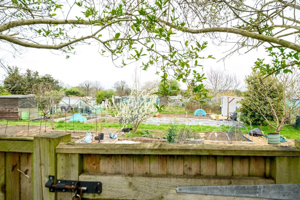 Cambridge Road, Walton-On-Thames KT12 2DR, photo 11