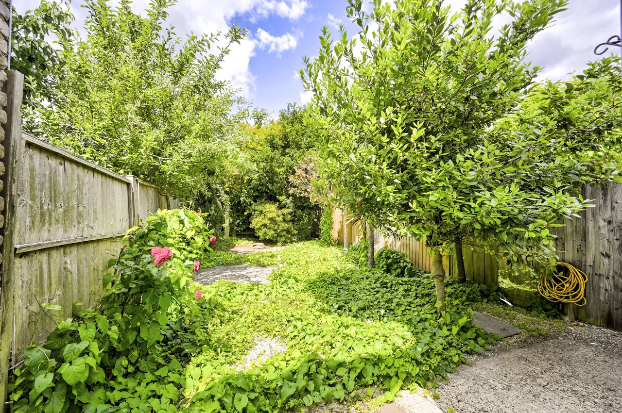 London, SW18, photo 12
