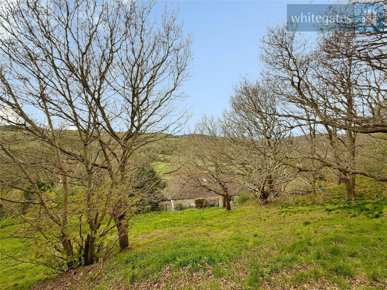 Windy Hill, Wrexham, LL12, photo 53