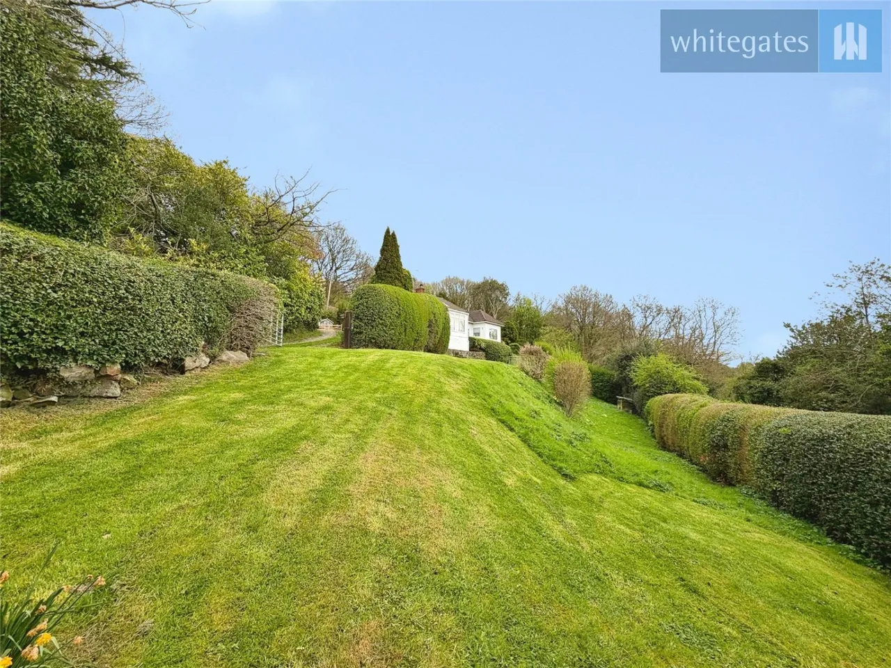 Windy Hill, Wrexham, LL12, photo 15