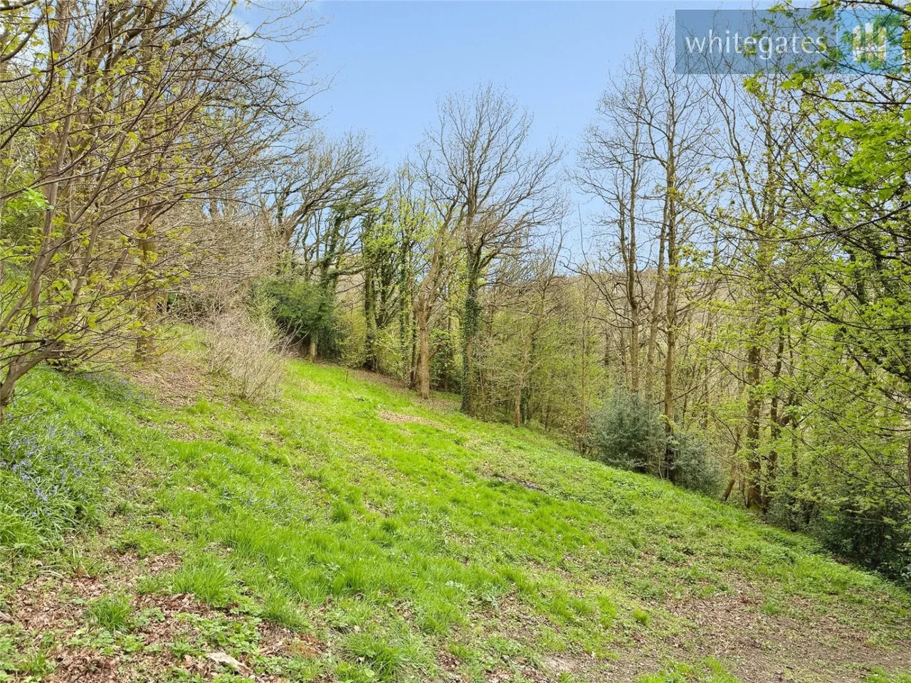 Windy Hill, Wrexham, LL12, photo 44