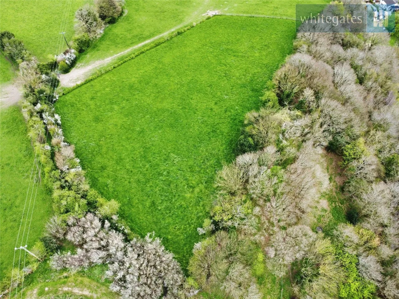 Windy Hill, Wrexham, LL12, photo 2