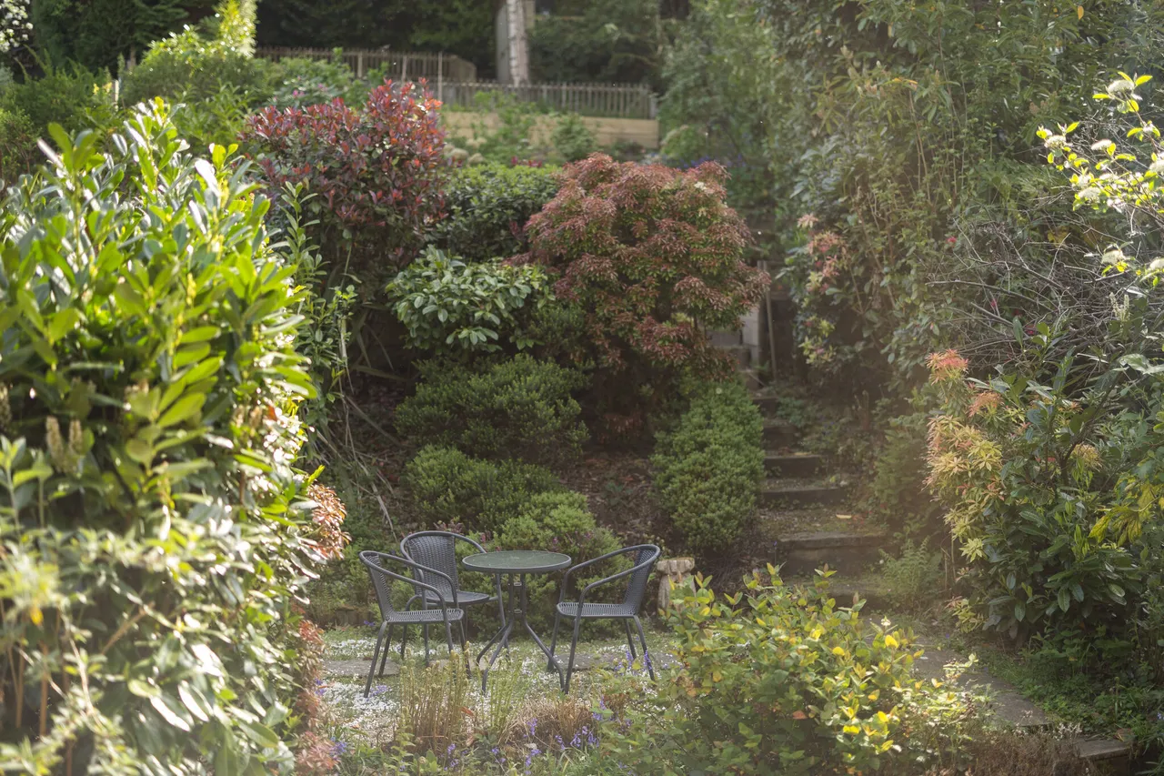 Marley Lane, HASLEMERE, GU27, photo 11