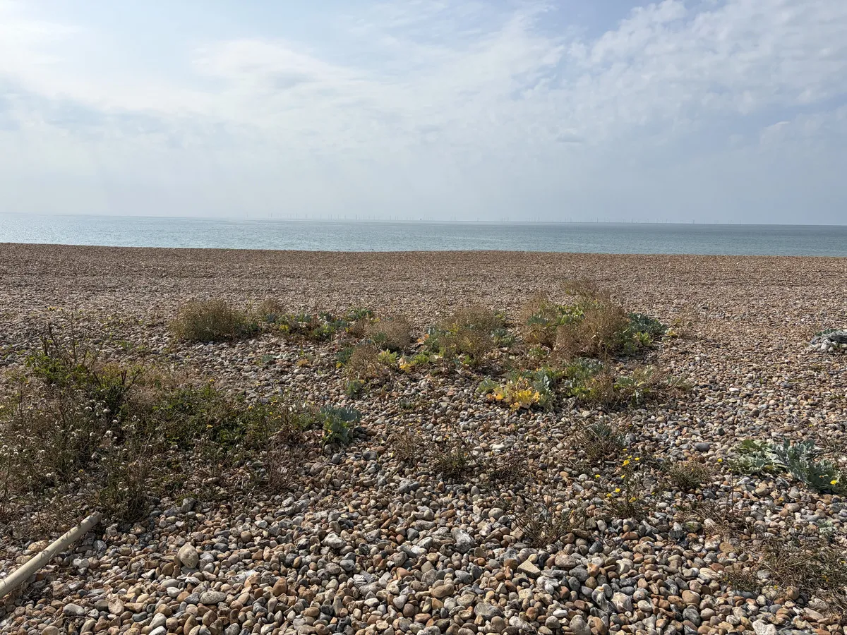 Brighton Road, Lancing, BN15, photo 4