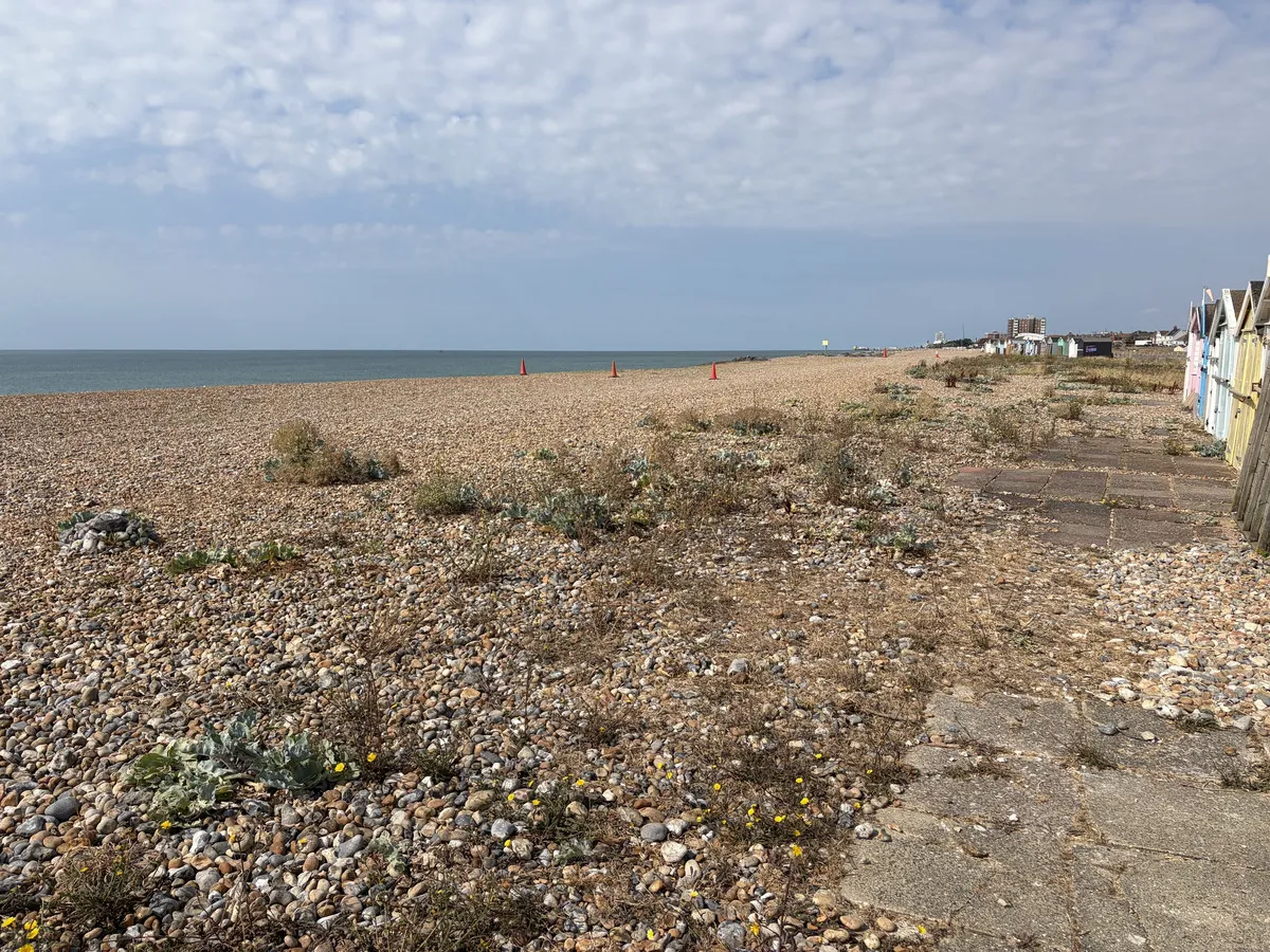 Brighton Road, Lancing, BN15, photo 6