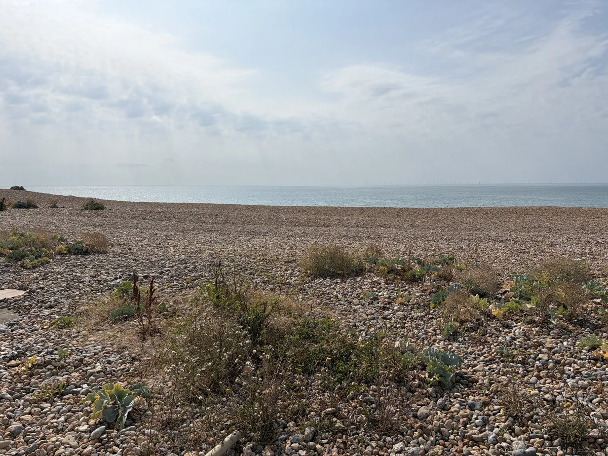 Brighton Road, Lancing, BN15, photo 5