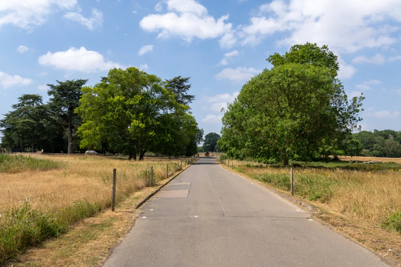 Hassobury, Farnham, CM23, photo 23