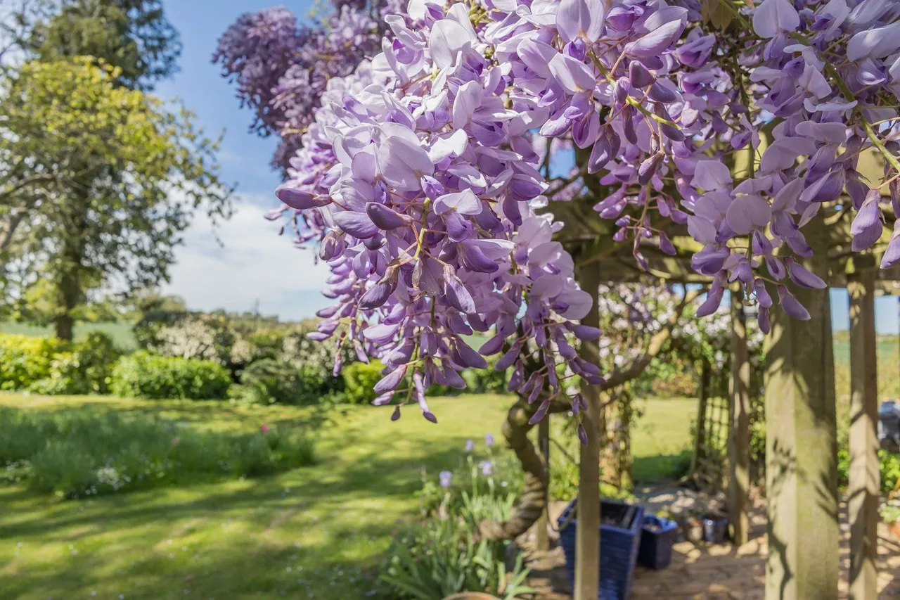 The Forstal, Mersham, Kent, TN25 6NX, photo 8
