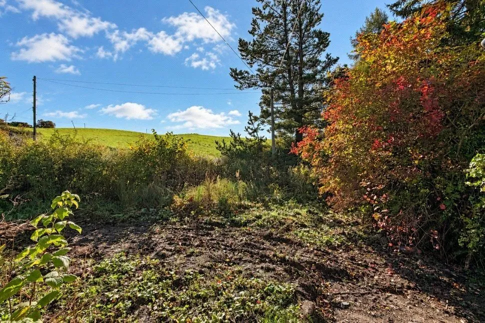 Maggieknockater, Craigellachie, AB38, photo 6
