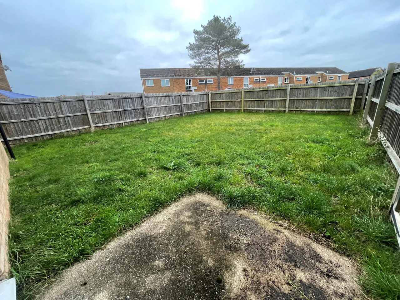 Elm Walk, Lakenheath, photo 8