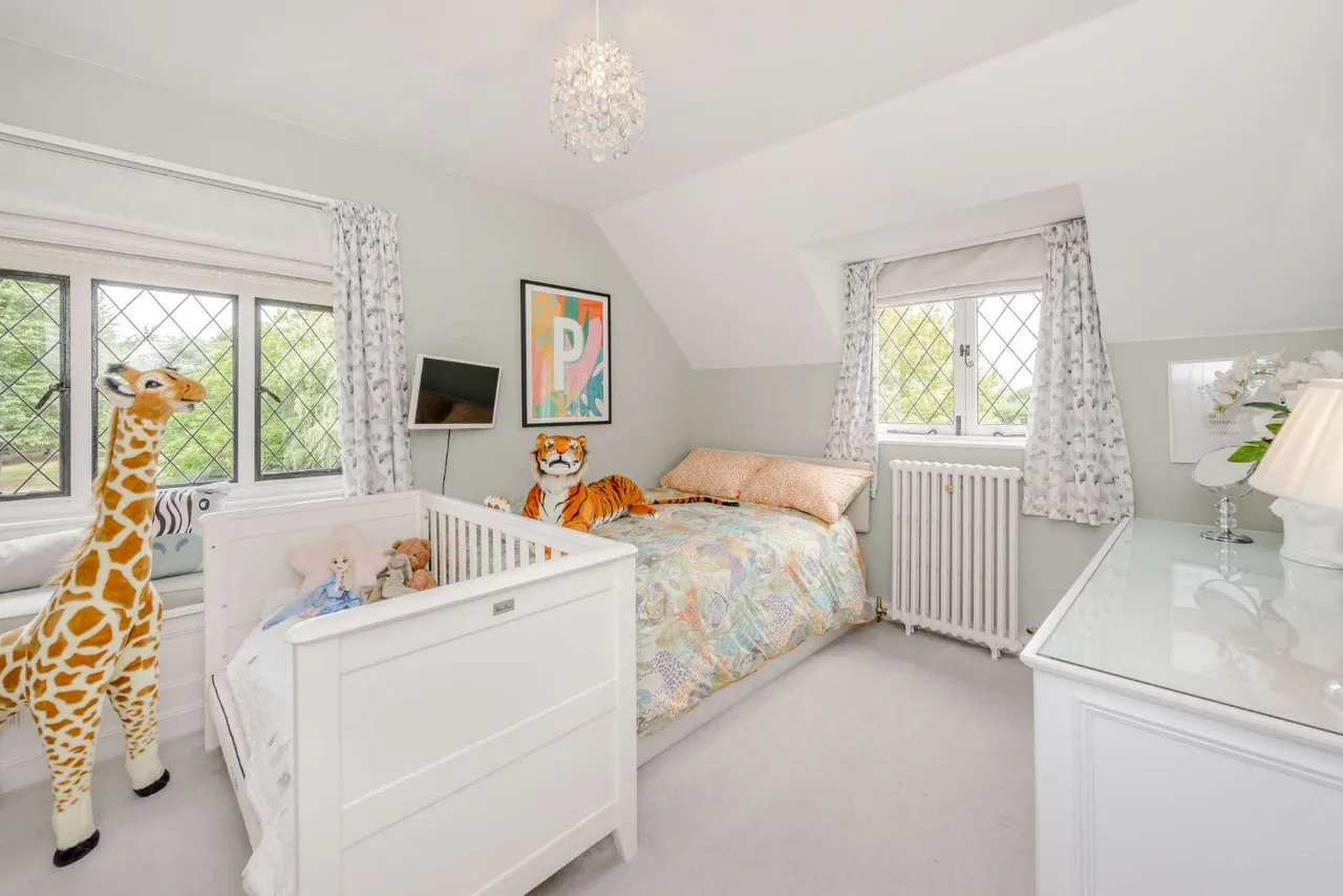 Ashes Lane, Hadlow, Tonbridge, TN11 0AN, photo 9