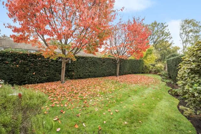 Guildford Road, Lightwater, GU18, photo 4