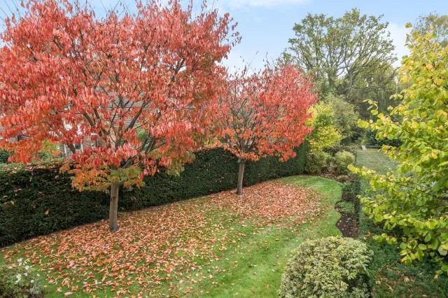 Guildford Road, Lightwater, GU18, photo 24