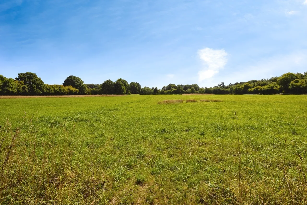 Fosten Green, Biddenden, TN27, photo 7