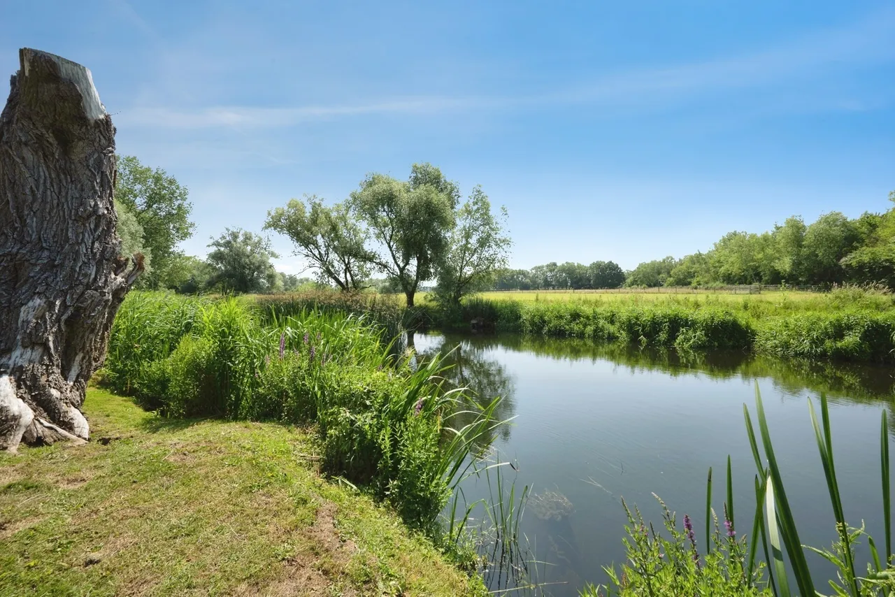 Folly Park, High Street, Clapham, Bedford, MK41, photo 19