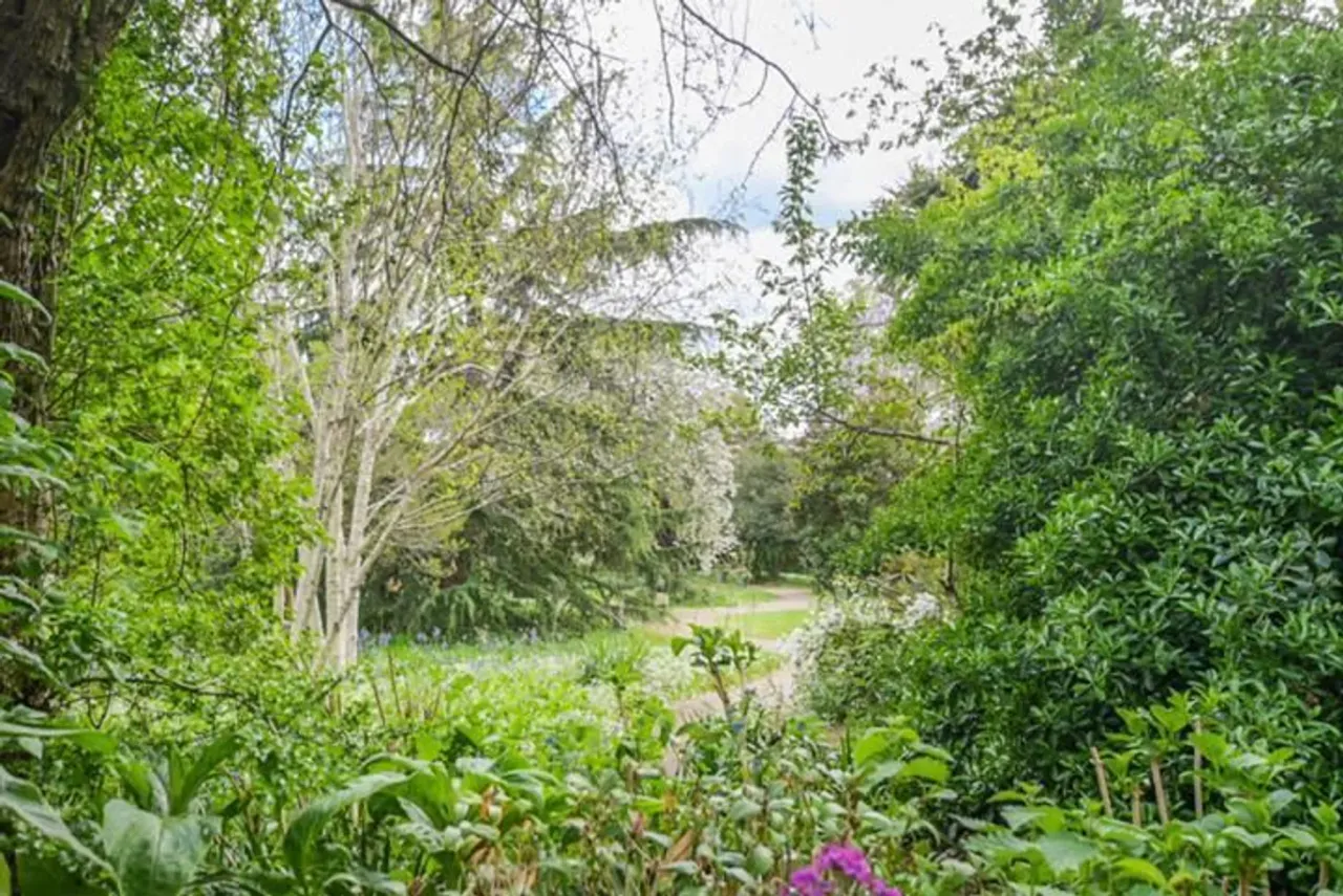 Edwardes Square, London, photo 4