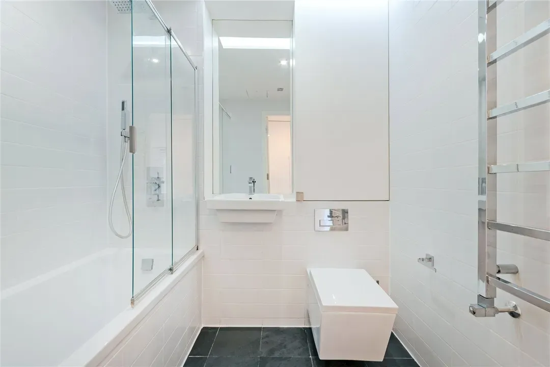 Plumbers Row, Whitechapel, London, E1, photo 17