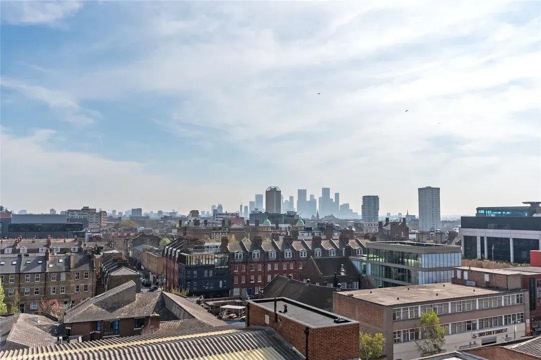 Plumbers Row, Whitechapel, London, E1, photo 24