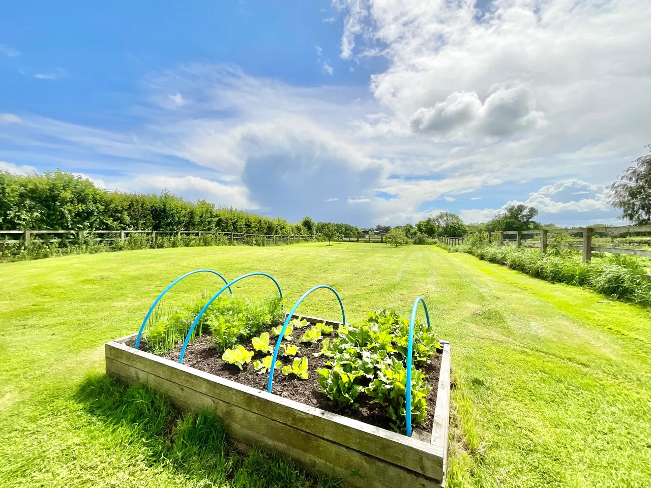 Napley Drive, Norton-In-Hales, TF9, photo 41