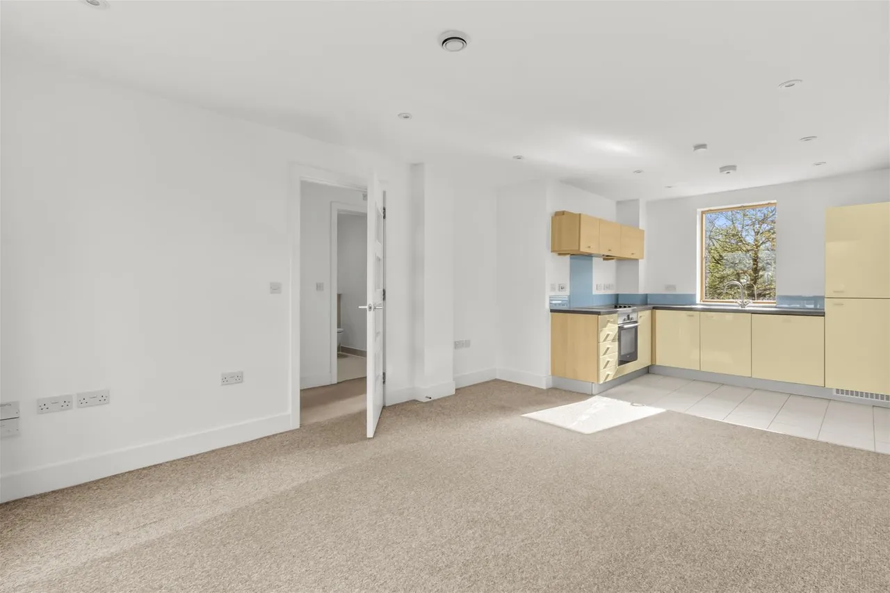 Ryemead Boulevard, High Wycombe, HP11, photo 5