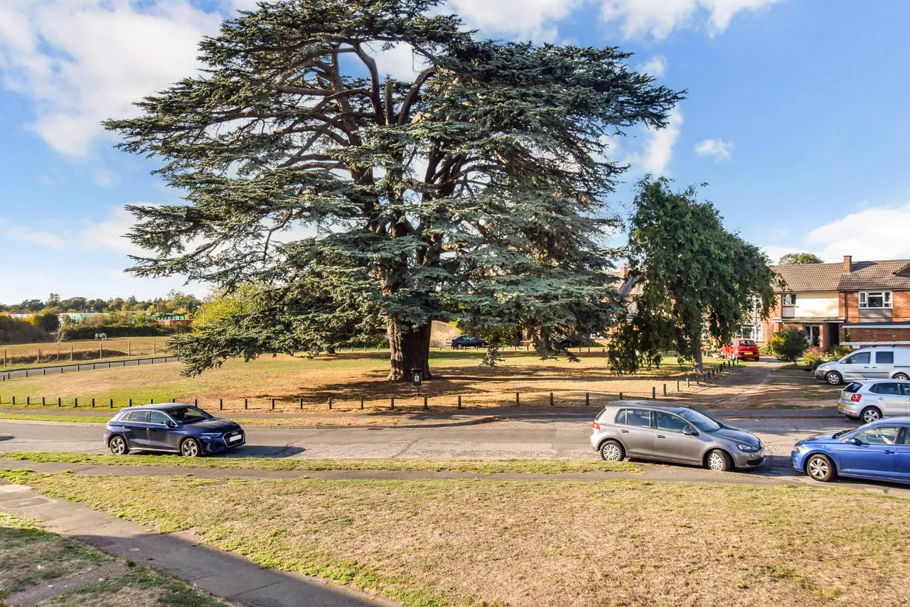 Devonshire Green, Farnham Royal, SL2, photo 10