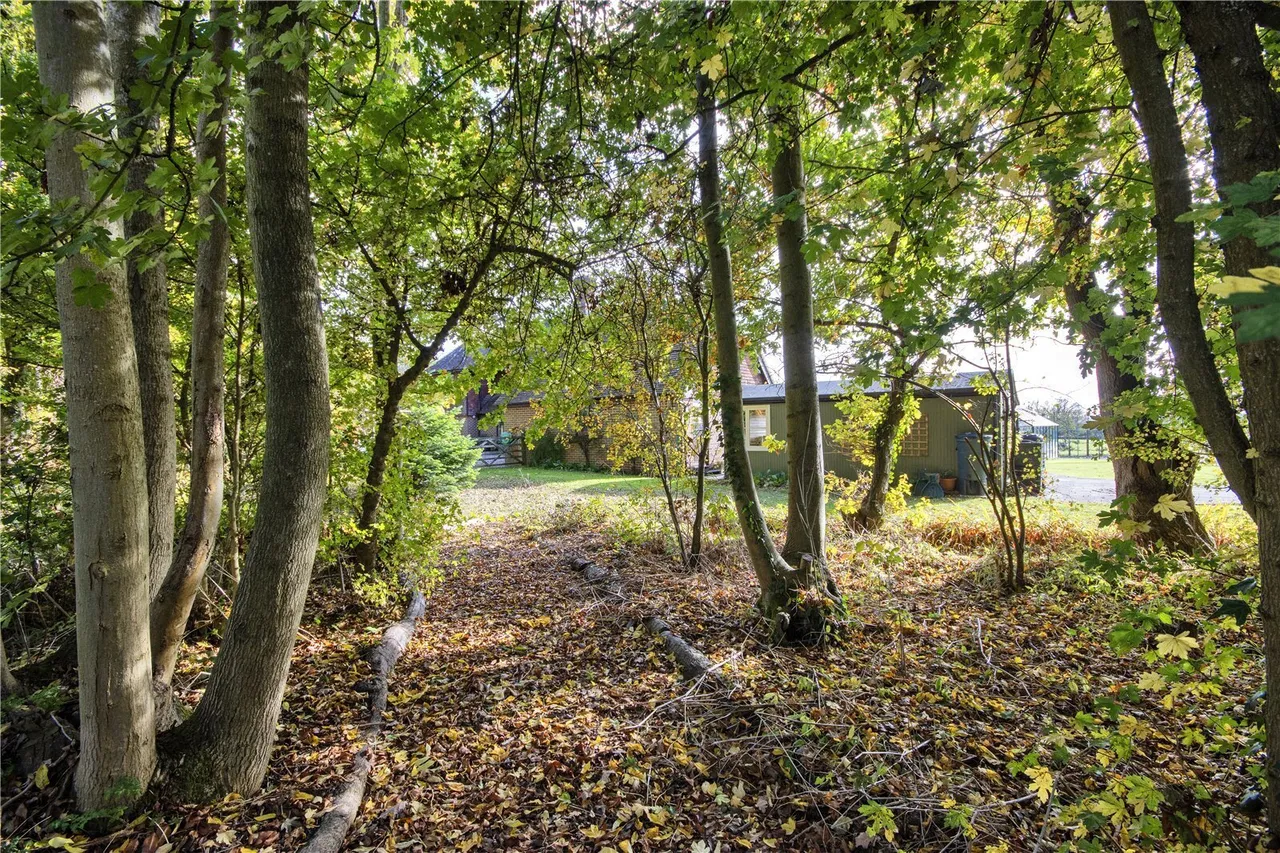 East Street, Hunton, ME15, photo 15