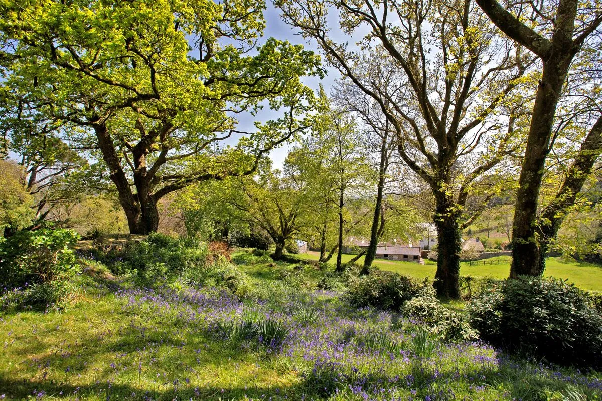 Lustleigh, Newton Abbot, TQ13, photo 17