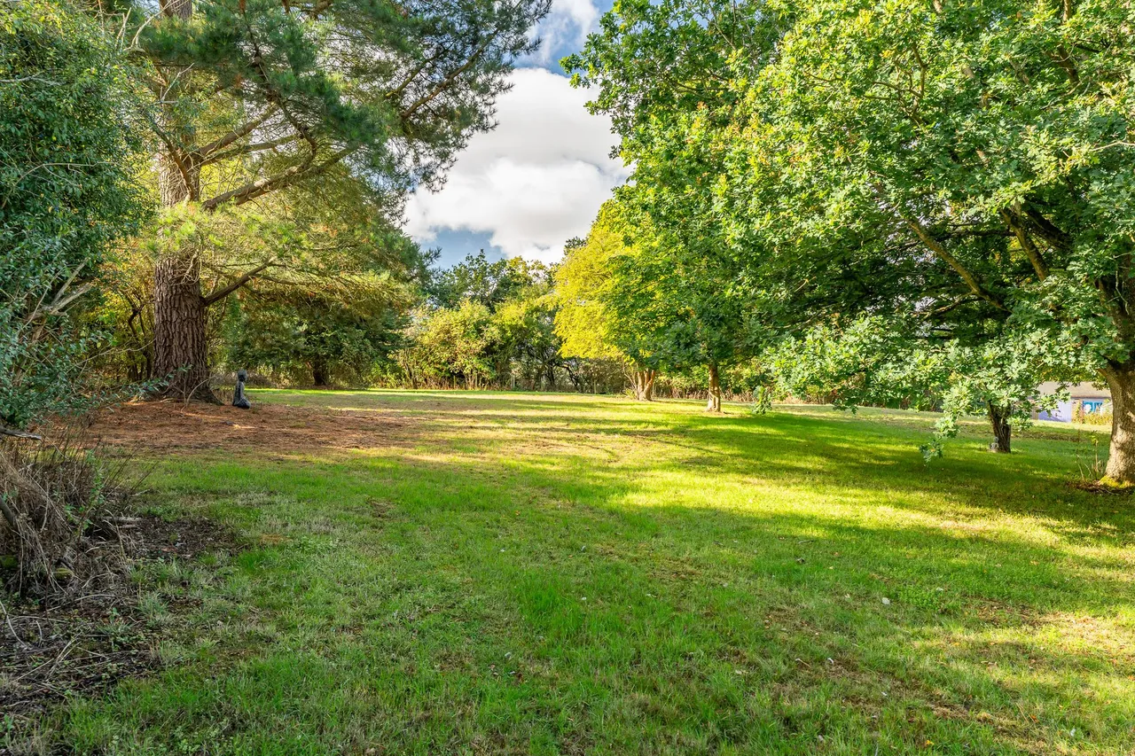 Westleigh Hanging Wood, Standon, Ware, SG11 1RA, photo 2
