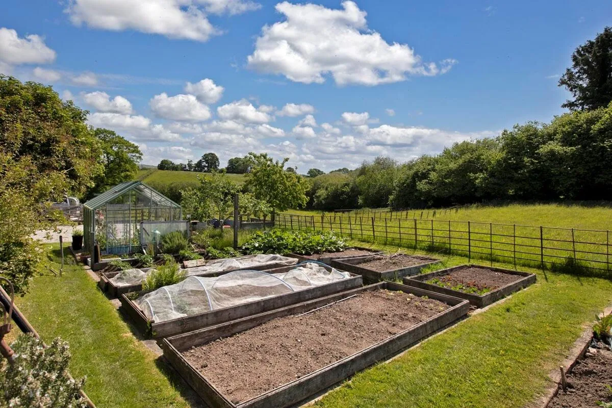 Adley Lane, Chagford, TQ13, photo 18