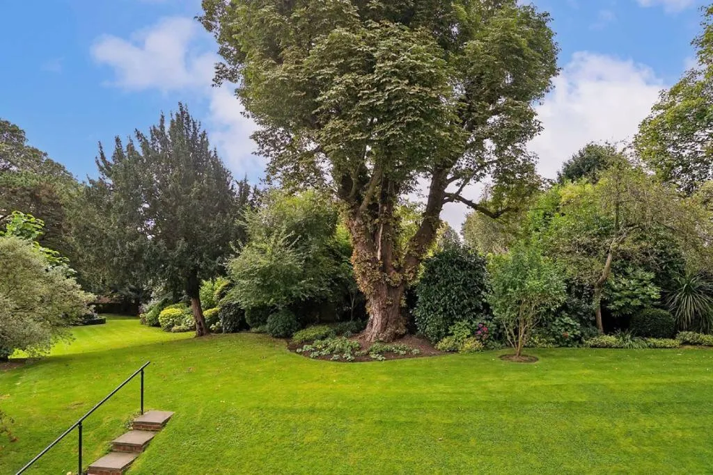 Southwood Lawn Road, London, N6, photo 8