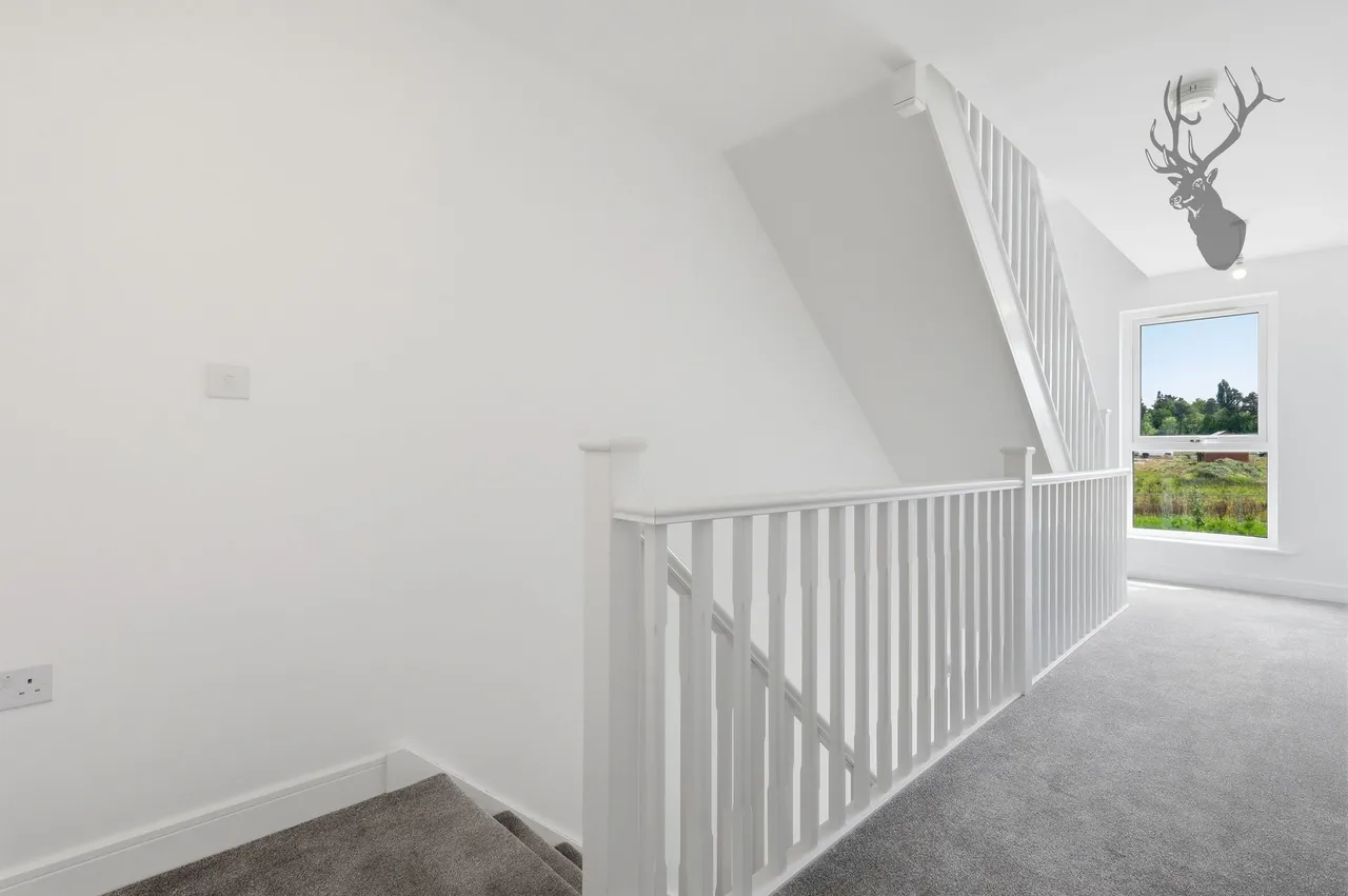 Bishop's Stortford, CM23, photo 10