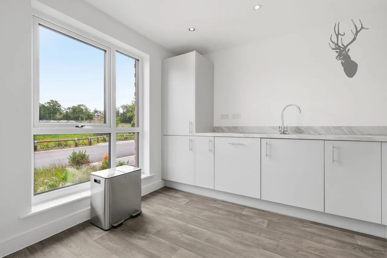 Bishop's Stortford, CM23, photo 3
