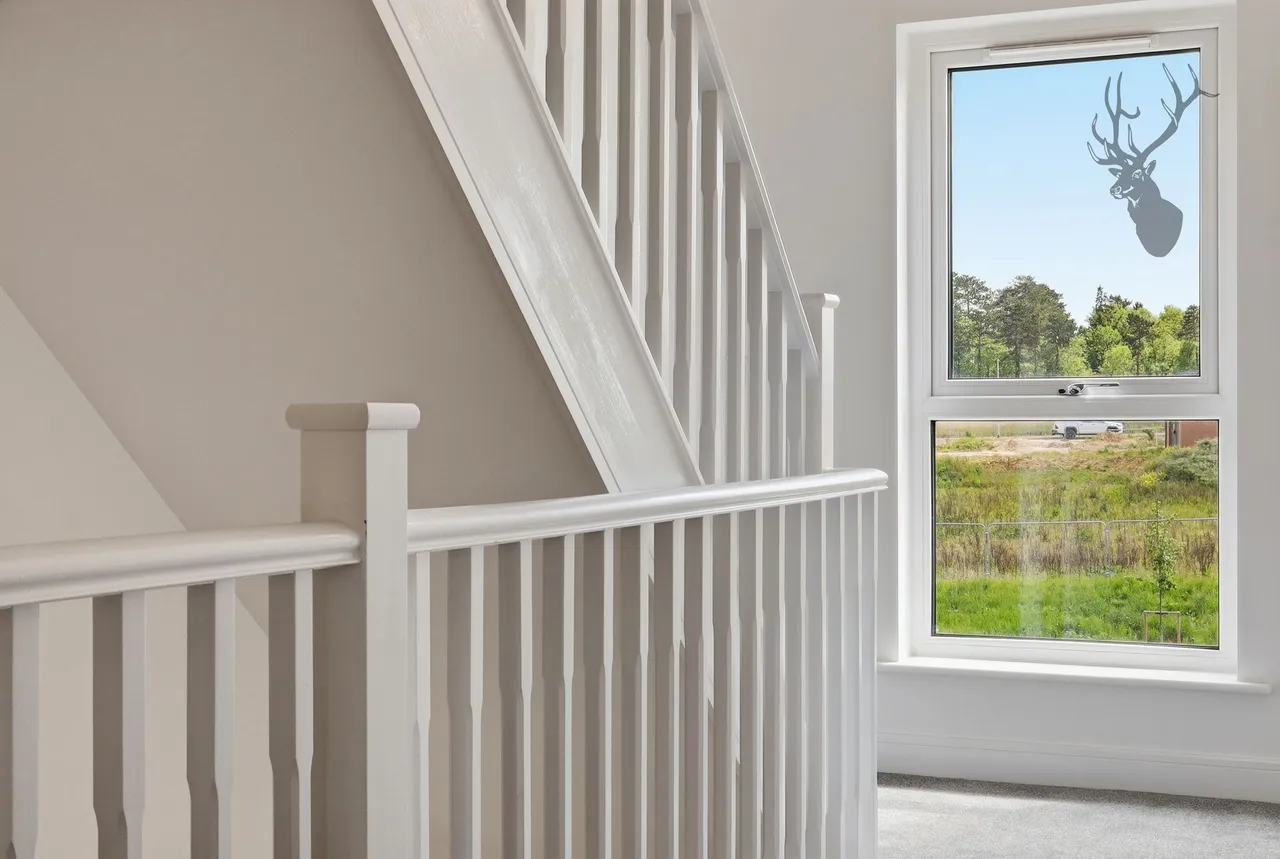 Bishop's Stortford, CM23, photo 9