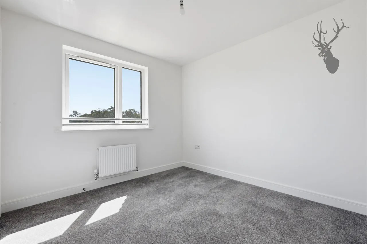 Bishop's Stortford, CM23, photo 7