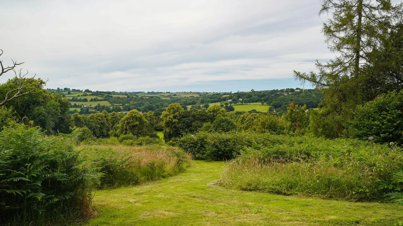 Llwynygroes, Tregaron, SY25, photo 76
