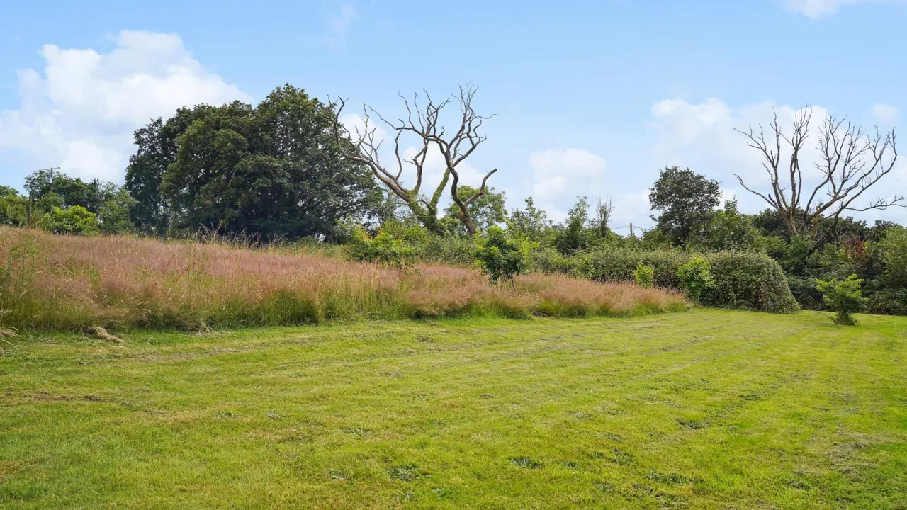 Llwynygroes, Tregaron, SY25, photo 66