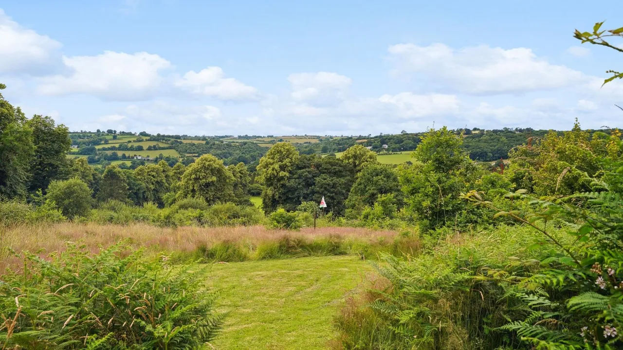 Llwynygroes, Tregaron, SY25, photo 73