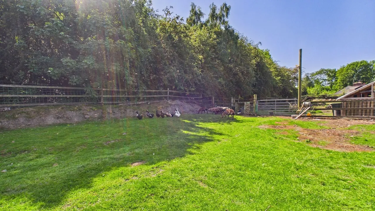 Tinglebridge, Hemingfield, S73, photo 18