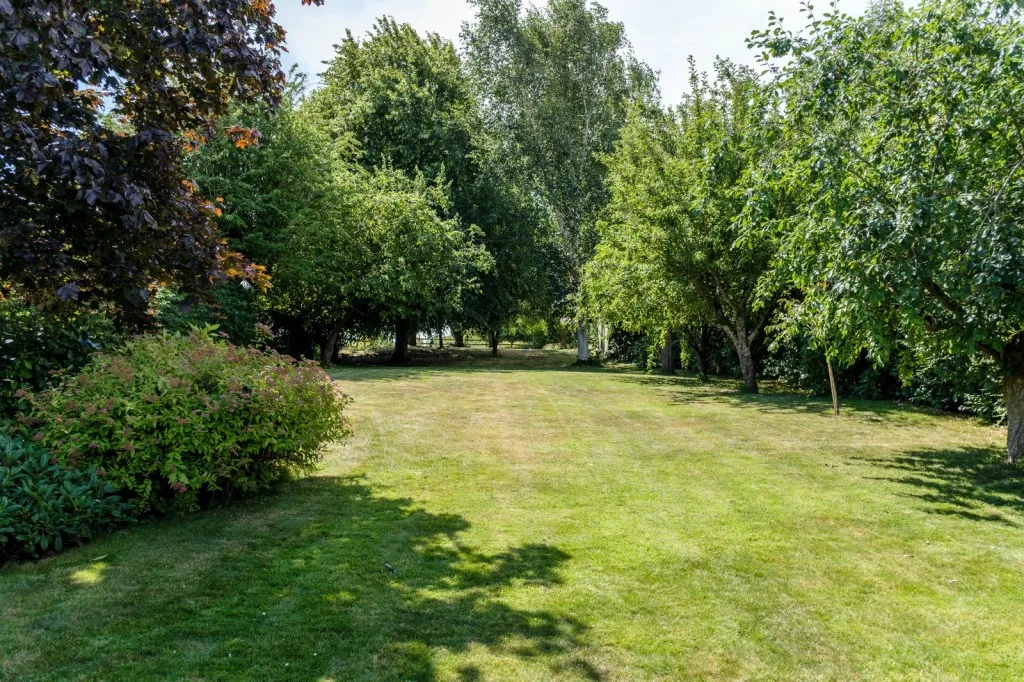 Brook Street, Wymeswold, LE12, photo 20