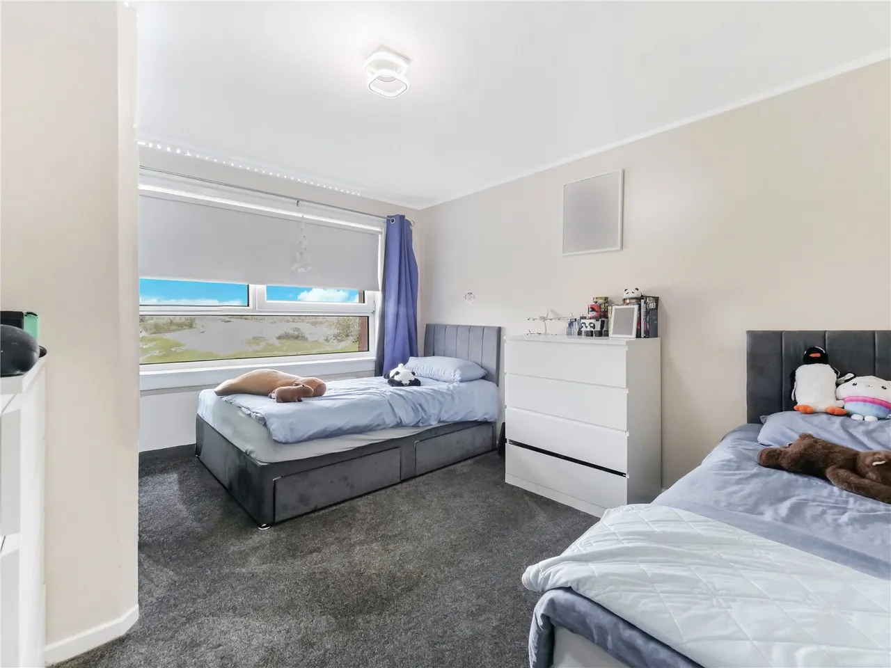 Ashburn Loan, Larkhall, ML9, photo 16
