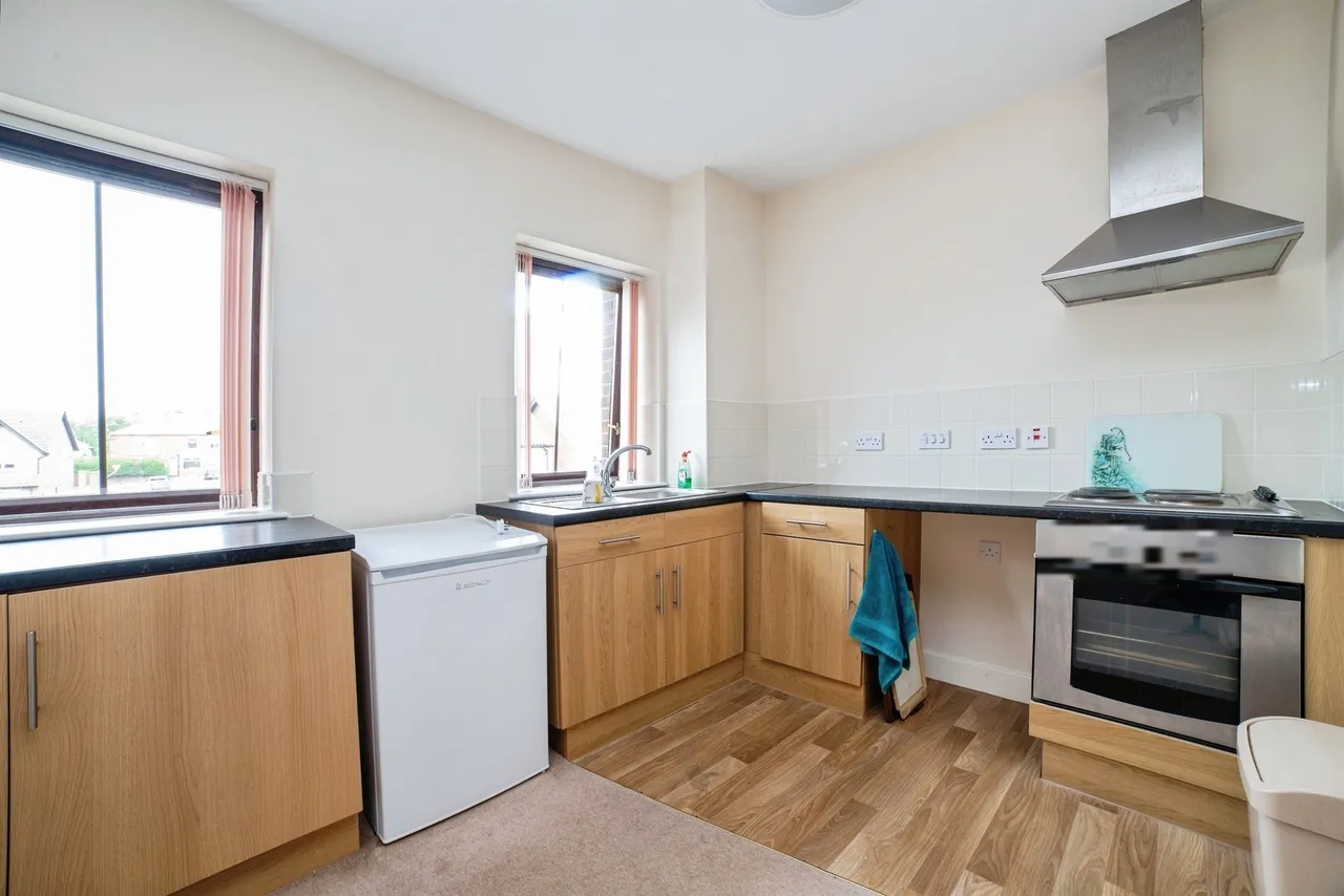 Springwood Gardens, Belper, DE56, photo 4