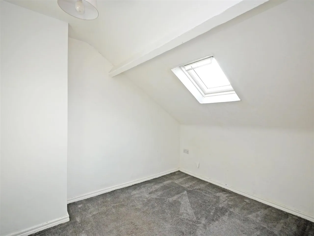 Farnham Street, Belfast, BT7, photo 15